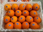 ORANGE  OREN For Juice Australian For Cheap