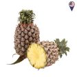 NANAS MADU  PINEAPPLE JOSEPHINE For Discount