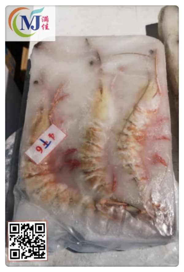 SEA TIGER PRAWN Sabah Frozen Cheap