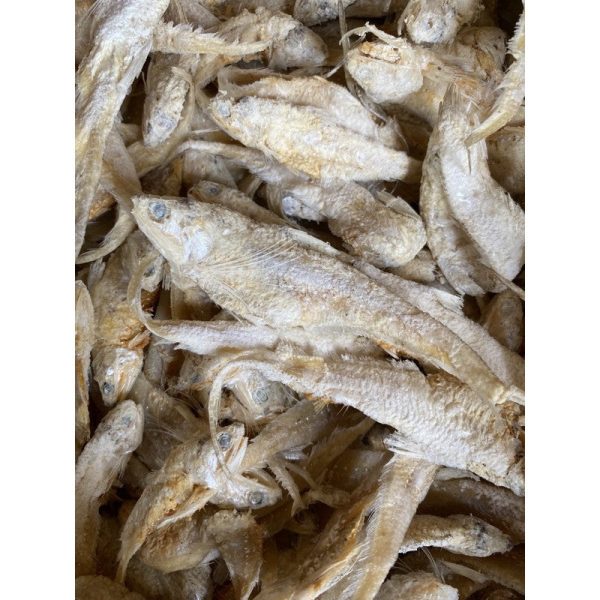 FISH SALTED IKAN MASIN BULU AYAM QuillFish Fashion