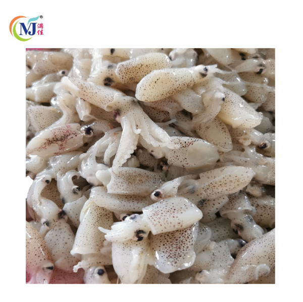 SQUID MINI GOLDEN 苏东珠 500g+- pack Supply