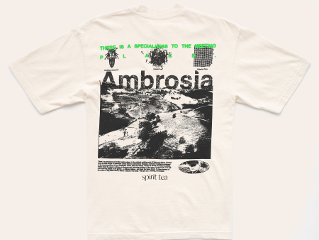 Ambrosia | Mr. Lu  Tea  Online Sale