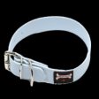 Smoochy Poochy Polyvinyl Buckle Collar - Baby Blue Online Sale