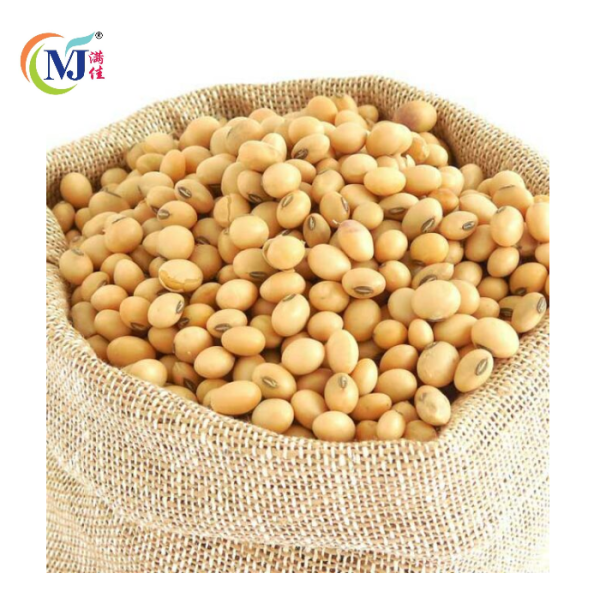 KACANG SOYA BEAN Holland Online