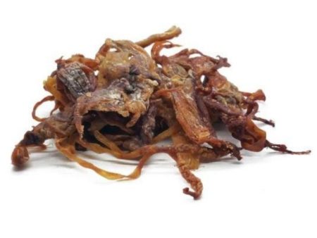 SOTONG HEAD 1kg block Online now