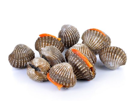 KERANG Cockles Fresh Online