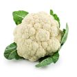 CAULIFLOWER   KOBIS BUNGA White China on Sale