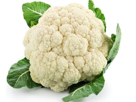 CAULIFLOWER   KOBIS BUNGA White China on Sale