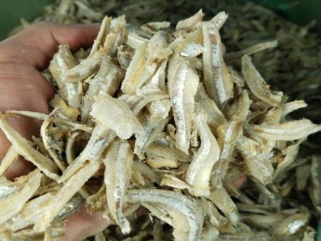 BILIS ANCHOVY WHITE PEEL (J) 1.5  Thai Supply