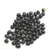 BIJI HITAM Black Bean Corn (Dao Shi) 62.5g pack Online Sale