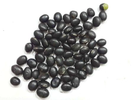 BIJI HITAM Black Bean Corn (Dao Shi) 62.5g pack Online Sale