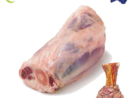 BEEF SHANK SHIN GrainFed BoneIN Australain on Sale