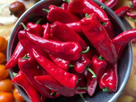 Piment Rouge de Maskinongé For Cheap