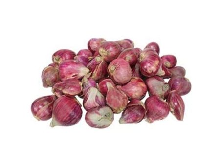 ONION RED SMALL Pakistan For Sale