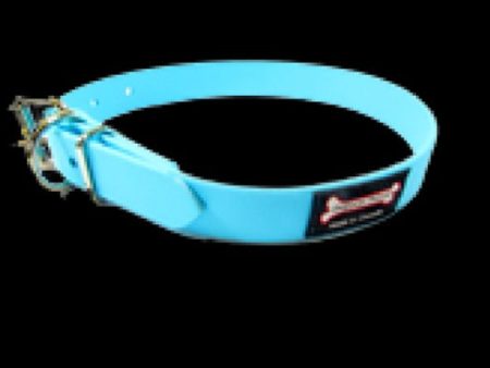 Smoochy Poochy Polyvinyl Buckle Collar - Turquoise Hot on Sale