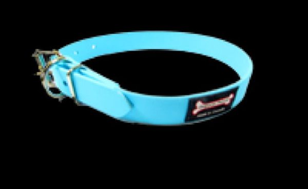 Smoochy Poochy Polyvinyl Buckle Collar - Turquoise Hot on Sale