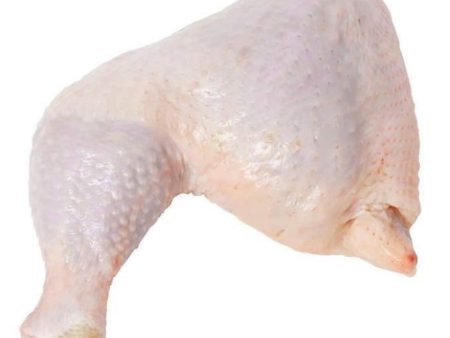 CHICKEN BONE LEG Fresh (Sold by kg) Online Hot Sale