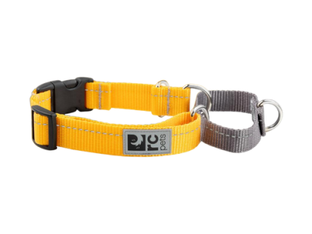 RC Pet Web Training Collar - X-Small Fashion