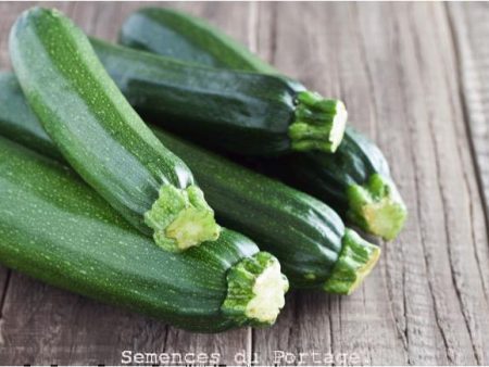 Courge d été Zucchini Dark Green For Discount