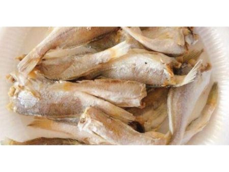 FISH SALTED IKAN MASIN GELAMA Jewfish Supply