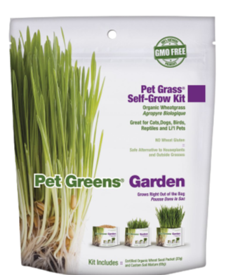 Pet Greens Garden Self Grow Cat Grass Supply