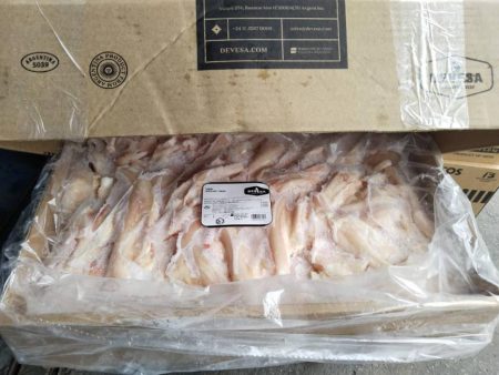 BEEF TENDON Argentina For Discount