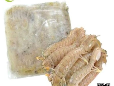 PRAWN MANTIS Meat 虾姑肉 500g+- pack Online now