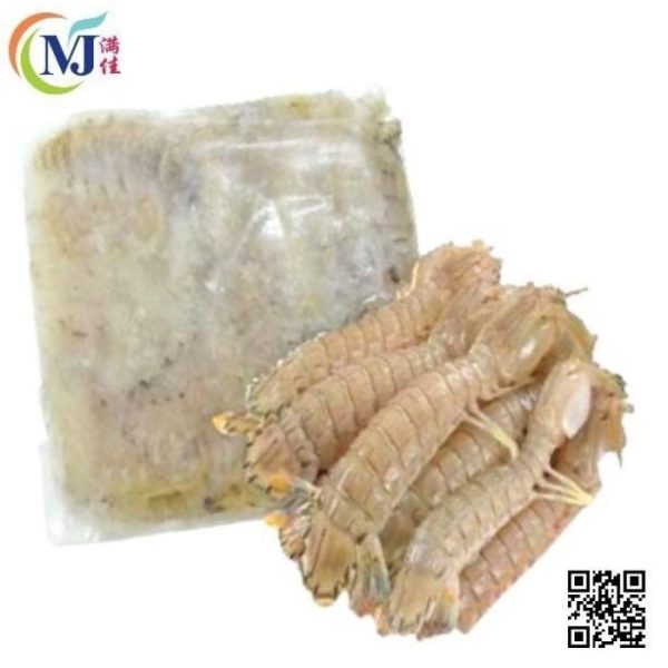 PRAWN MANTIS Meat 虾姑肉 500g+- pack Online now