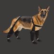 Canada Pooch Suspender Boots Black 4 Supply