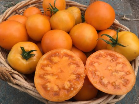 Tomate Orange Ananas Online