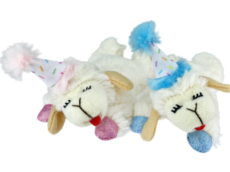 Multipet Lamb Chop Birthday! for Cats Sale