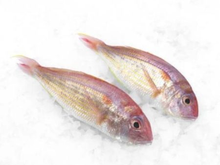 FISH KERISI   Threadfin Bream Frozen Supply