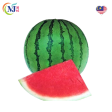 TEMBIKAI WATERMELON RED Seedless Gred-A Online