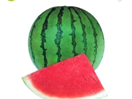 TEMBIKAI WATERMELON RED Seedless Gred-A Online