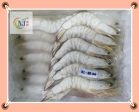 PRAWN SEA White Whole 野生海明虾 Online Sale