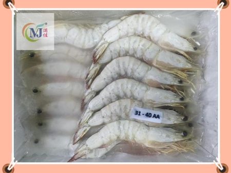 PRAWN SEA White Whole 野生海明虾 Online Sale