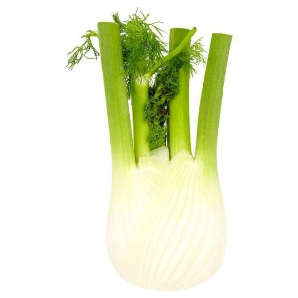 FENNEL Online now