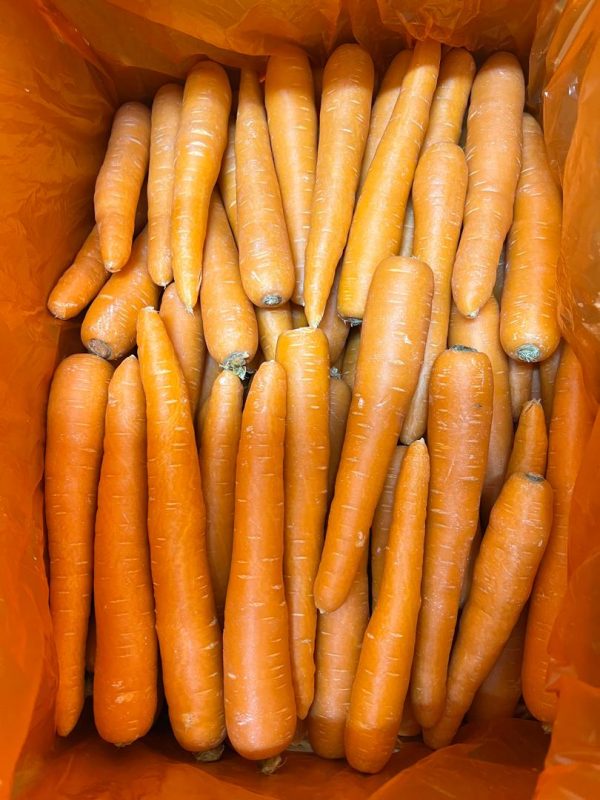 CARROT Australian Supply