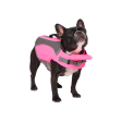 Canada Pooch Wave Rider - Pink on Sale