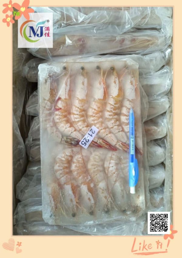 PRAWN SEA White Whole 野生海明虾 Online Sale