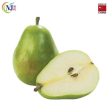 PEAR GREEN China Online