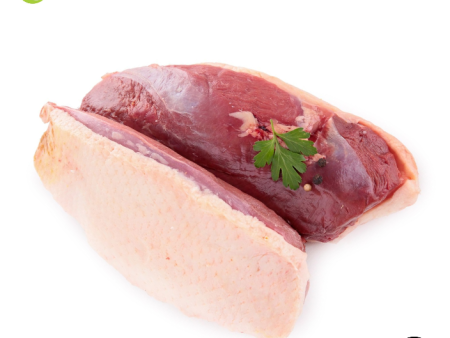 DUCK BREAST MEAT Plain Local Frozen For Discount