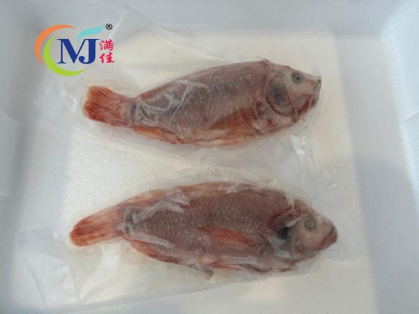 FISH TILAPIA RED WaterFall Clean And Vaccum Pack -Frozen Hot on Sale