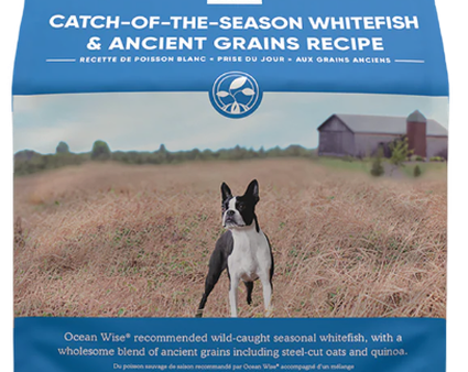 Open Farm Catch-Of-The-Season Whitefish and Ancient Grains Dog Online now