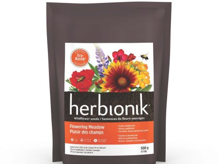 Semences de fleurs sauvages-Plaisir des champs - Herbionik Eco-Rustik Online now