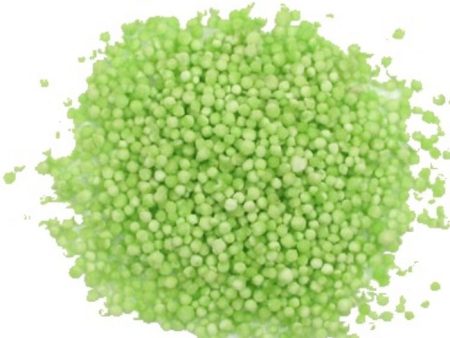 BIJI SAGO Seed GREEN Supply