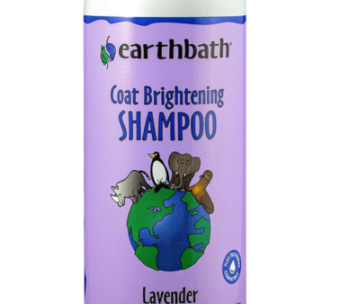 Earthbath Coat Brightening Shampoo Lavender For Sale