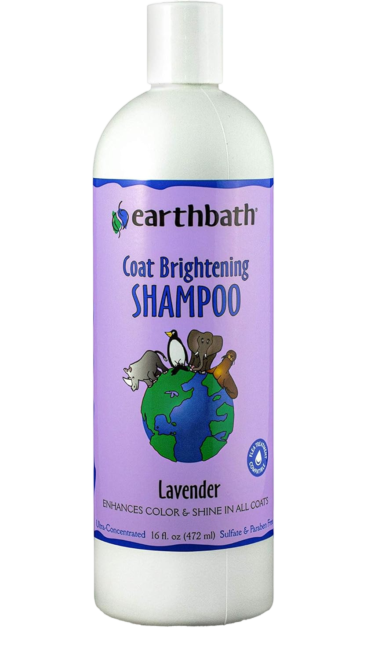 Earthbath Coat Brightening Shampoo Lavender For Sale