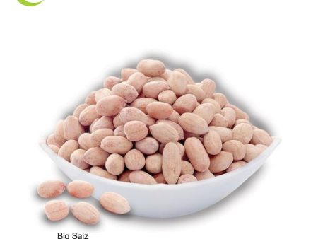 PEANUT RAW   Kacang Tanah For Discount