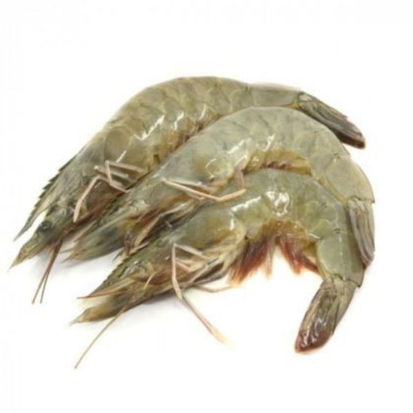 PRAWN GREY KERABU Local 500g pack Supply